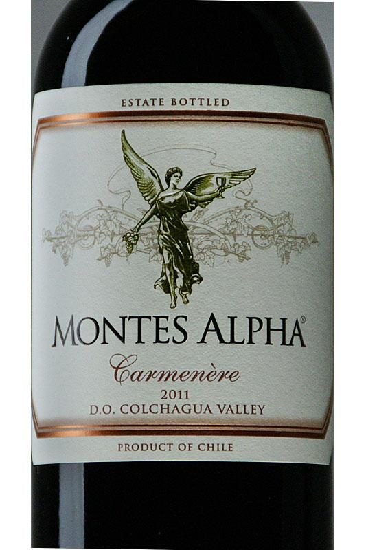 Ardo botilak etiketatzeko makina alde biko Txile Santa Maria kontrolatzaile elektrikoa